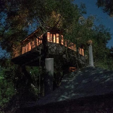 Margaritis'S Treehouse Villa Paramonas  Exteriör bild