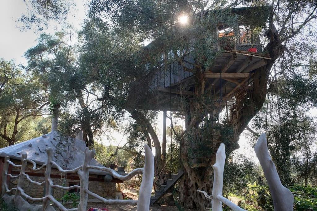 Margaritis'S Treehouse Villa Paramonas  Exteriör bild